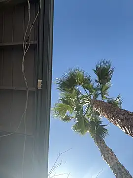 starrynikki online show from 02/06/26, 08:01