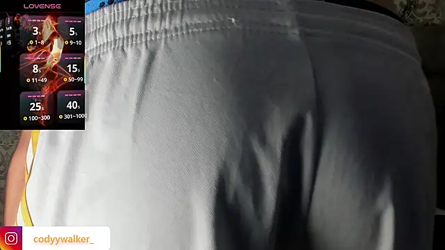 CodyWalkerR online show from 01/14/26, 05:29