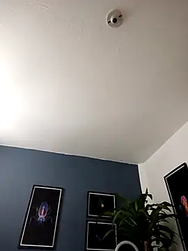 SilvaBranko online show from 11/30/25, 12:03