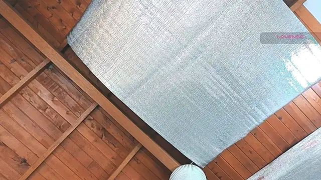 SilvaBranko online show from 03/16/26, 12:06