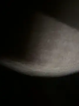 Bongcrush 3 online show from 03/08/25, 01:17