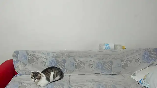 ANGELALEXYNO2024 online show from 02/26/25, 08:26