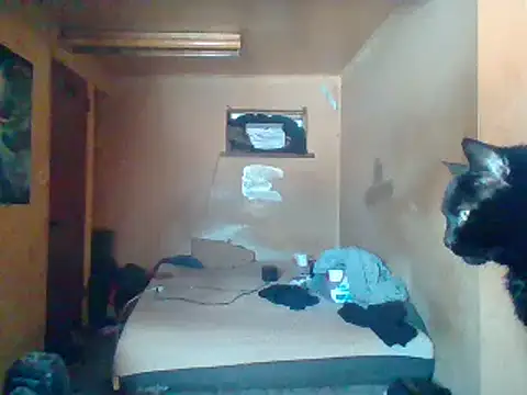 Snapshot of Nightshade7712 chatting on 02/04/25, 05:55 Nightshade7712 online show from 02/04/25, 05:55