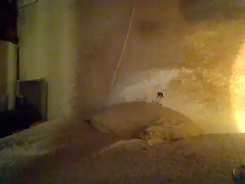 Snapshot of Nightshade7712 chatting on 02/19/25, 07:06 Nightshade7712 online show from 02/19/25, 07:06