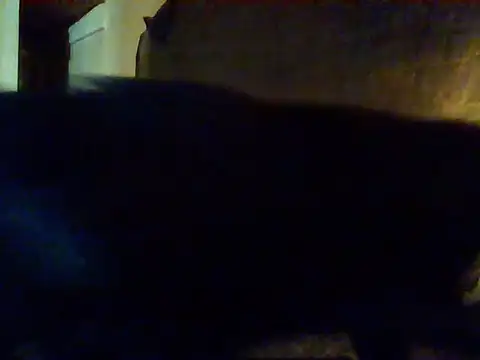 Snapshot of Nightshade7712 chatting on 09/16/25, 09:38 Nightshade7712 online show from 09/16/25, 09:38