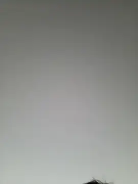 high andlow420 online show from 03/08/25, 12:41