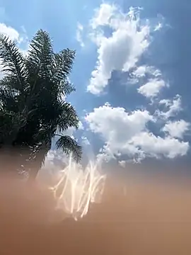 Snapshot of THEBUTTERNUT chatting on 02/06/26, 11:02 THEBUTTERNUT online show from 02/06/26, 11:02