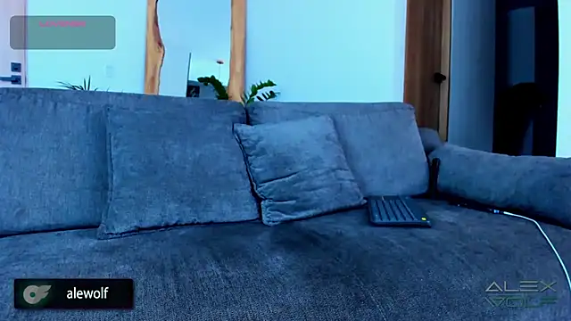 alex wolf  online show from 11/28/25, 02:42