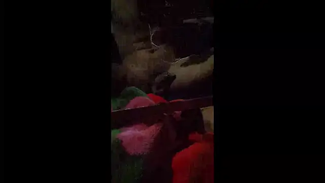 008Alexan online show from 04/22/26, 03:31