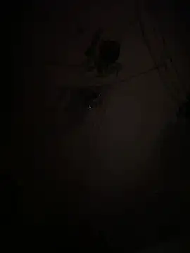 EnricoGio online show from 01/15/26, 01:21