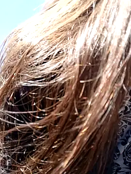 Snapshot of Violeta_12- chatting on 12/11/24, 03:58 Violeta 12- online show from 12/11/24, 03:58