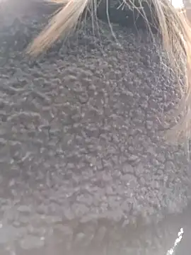 Snapshot of Violeta_12- chatting on 03/18/25, 07:31 Violeta 12- online show from 03/18/25, 07:31