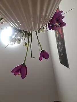 CoupleHot 69 DreamSex online show from 03/06/26, 04:47