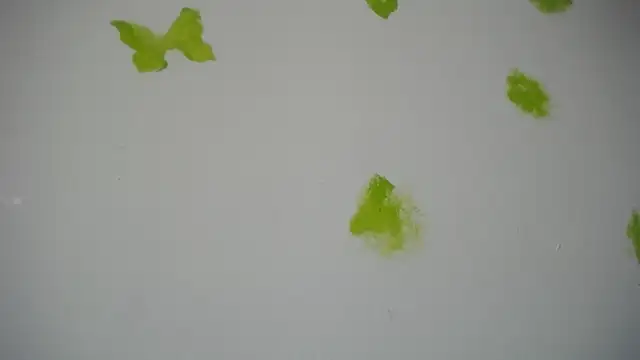 RACHELL  HOT online show from 09/30/25, 06:35