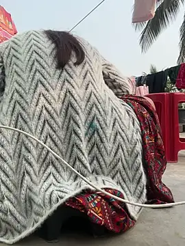 Ishikarana online show from 01/06/26, 09:24