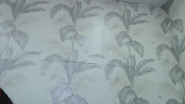 Snapshot of CamDiva113 chatting on 02/08/25, 10:07 CamDiva113 online show from 02/08/25, 10:07