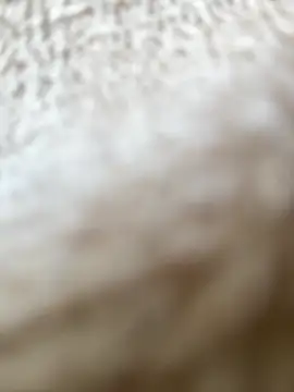 RiriRoseey online show from 04/05/26, 07:49