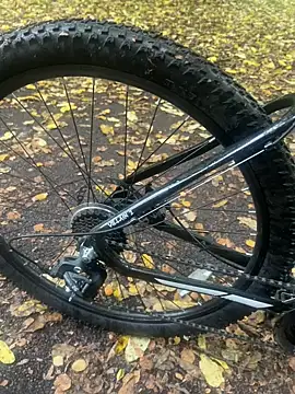 Shyboy817 online show from 10/22/25, 02:50