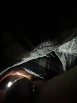 Shyboy817 online show from 03/11/26, 04:18