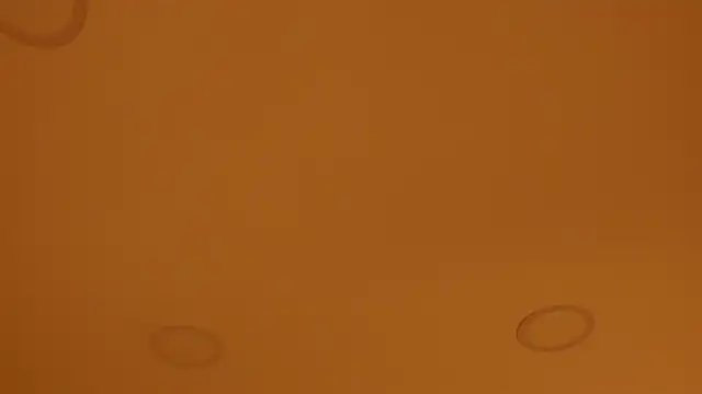 nakamura sam online show from 04/08/26, 10:04