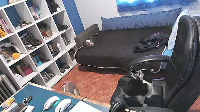 ravingr4d4 online show from 10/24/25, 03:19