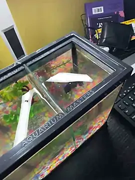 Snapshot of VFuck4U_xxx chatting on 03/10/25, 01:21 VFuck4U xxx online show from 03/10/25, 01:21