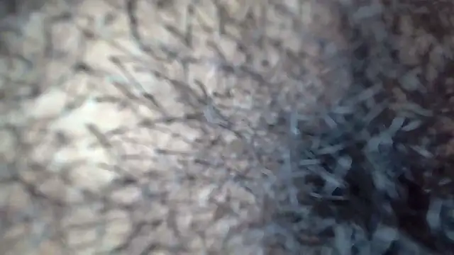 Snapshot of white_sexy_ chatting on 11/29/25, 11:41 white sexy online show from 11/29/25, 11:41