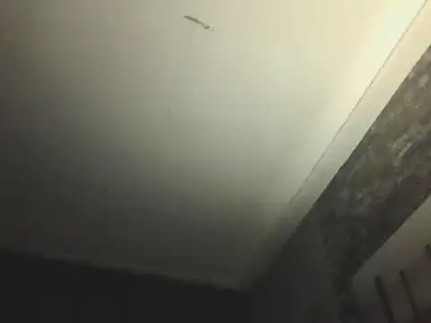 Prehistorixxx2686 online show from 01/12/25, 06:28