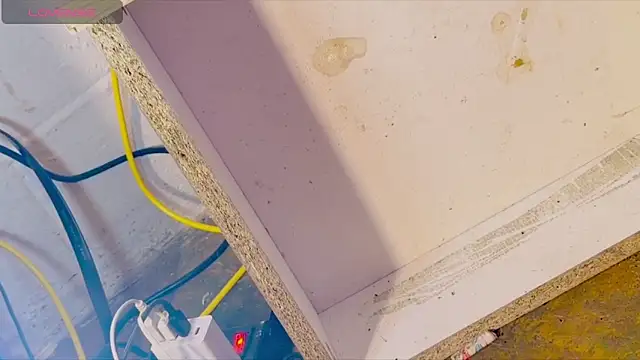 anotherbigboy  online show from 04/28/26, 09:03