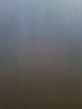 pachapeter online show from 04/20/26, 12:52