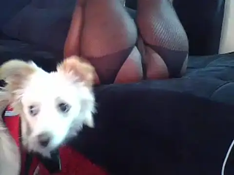 Snapshot of KikiLovesD chatting on 12/23/24, 02:07 KikiLovesD online show from 12/23/24, 02:07