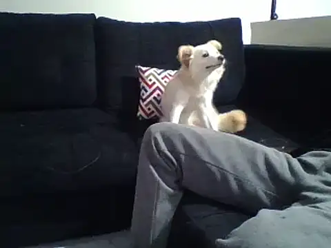 Snapshot of KikiLovesD chatting on 12/31/24, 08:34 KikiLovesD online show from 12/31/24, 08:34