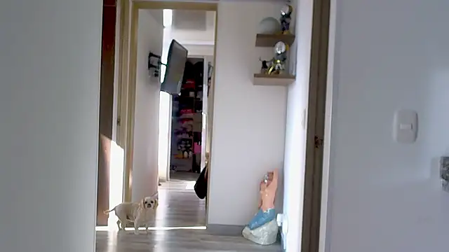 Snapshot of adan_eva960 chatting on 09/09/25, 12:59 adan eva960 online show from 09/09/25, 12:59