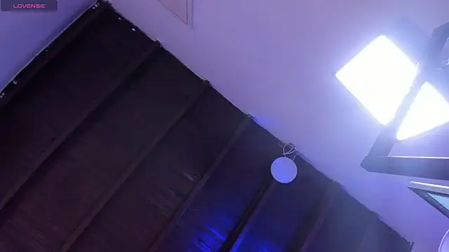 maye wells online show from 12/19/24, 11:35