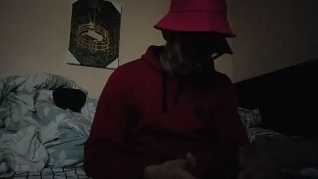 hailzeffn online show from 11/07/25, 10:37