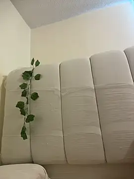 Megan Rodrigo online show from 04/06/26, 12:50