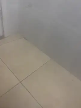 rafahpirusudo online show from 03/19/26, 08:29