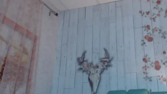 Alison Simmons online show from 02/05/25, 11:44