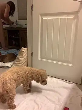 Snapshot of balad13 chatting on 01/21/25, 04:32 balad13 online show from 01/21/25, 04:32