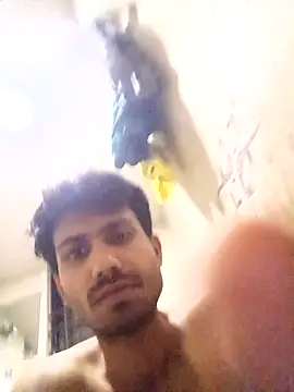 Snapshot of nikshows chatting on 10/02/25, 03:08 nikshows online show from 10/02/25, 03:08