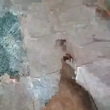 jockey2051992 online show from 04/13/26, 02:50