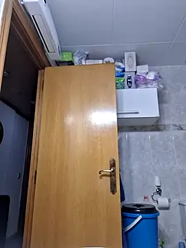 Javier bear online show from 02/12/26, 02:01