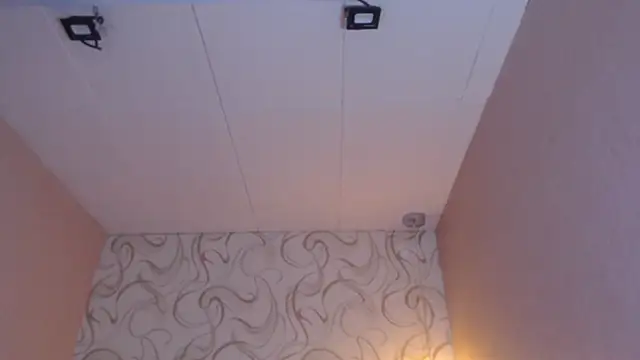Snapshot of LiaHarryis chatting on 03/15/25, 01:07 LiaHarryis online show from 03/15/25, 01:07