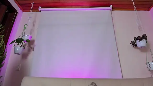 roselinedior online show from 01/27/25, 04:11