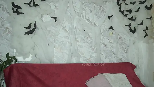 roselinedior online show from 10/28/25, 01:14