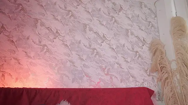 roselinedior online show from 11/18/25, 12:53