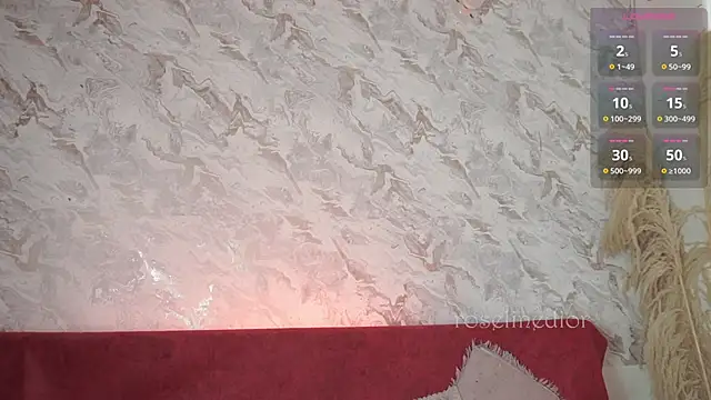 roselinedior online show from 11/20/25, 02:17