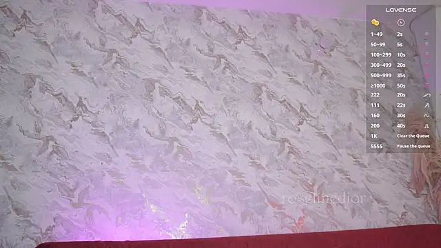 roselinedior online show from 11/29/25, 02:09