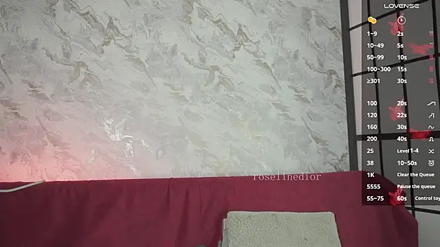 roselinedior online show from 03/27/26, 03:12