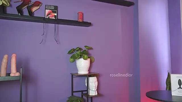 roselinedior online show from 05/19/26, 02:45